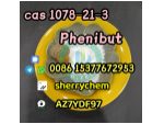 Wholesale Price API Nootropics Supplements Phenibut Powder CAS 1078-21-3 #1