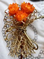 Cocarde - Cocarde #4