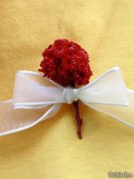 Cocarde - Cocarde #7