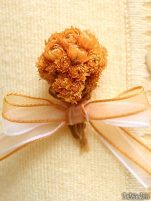 Cocarde - Cocarde #8