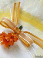 Cocarde - Cocarde #11