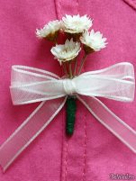 Cocarde - Cocarde #12