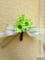 Cocarde - Cocarde #13