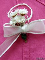 Cocarde - Cocarde #15