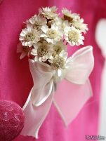 Cocarde - Cocarde #16