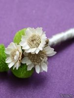 Cocarde - Cocarde #1